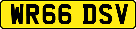 WR66DSV