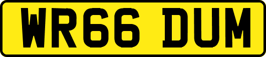 WR66DUM