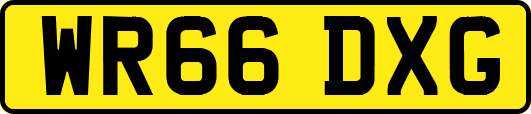 WR66DXG