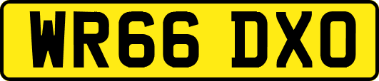 WR66DXO