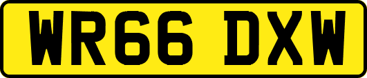 WR66DXW