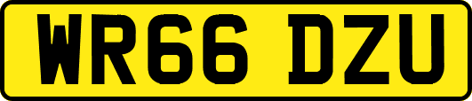 WR66DZU