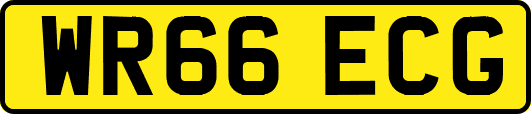 WR66ECG