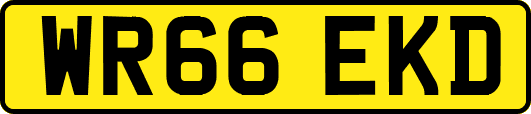 WR66EKD