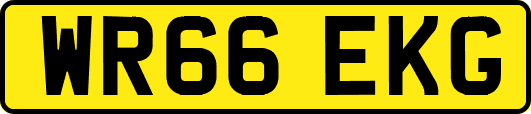 WR66EKG