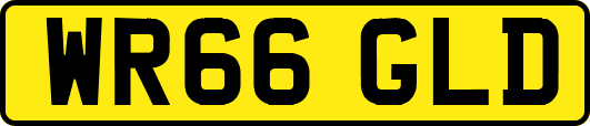 WR66GLD