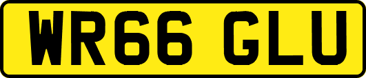 WR66GLU