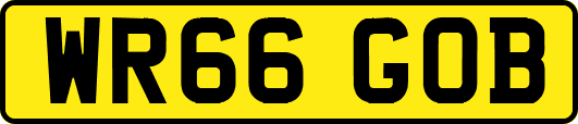 WR66GOB