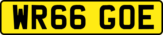 WR66GOE