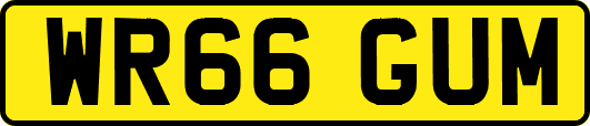WR66GUM
