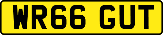 WR66GUT