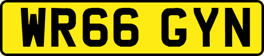 WR66GYN