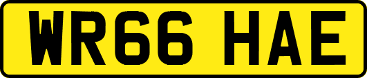 WR66HAE