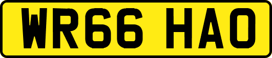 WR66HAO