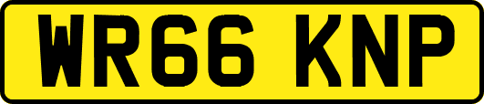 WR66KNP