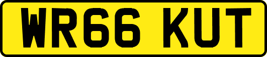 WR66KUT
