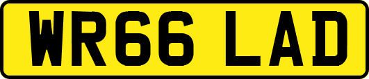 WR66LAD