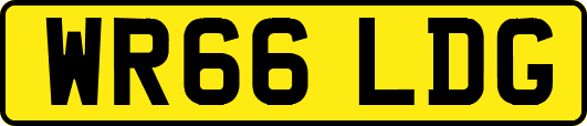 WR66LDG