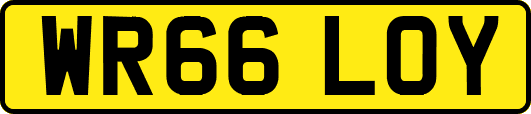 WR66LOY