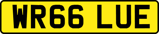 WR66LUE