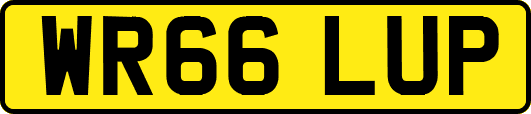 WR66LUP