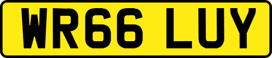 WR66LUY