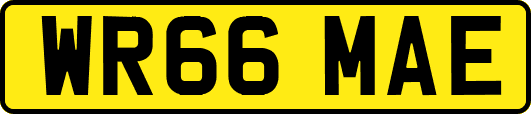 WR66MAE