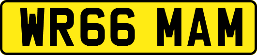 WR66MAM