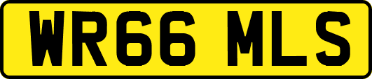 WR66MLS