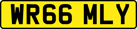 WR66MLY
