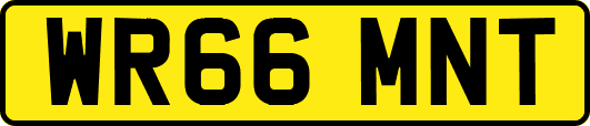 WR66MNT