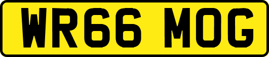 WR66MOG