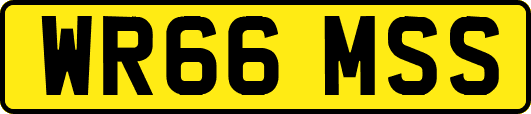 WR66MSS