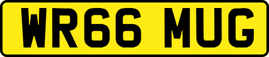 WR66MUG