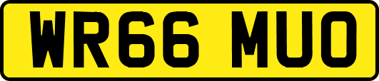 WR66MUO