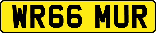 WR66MUR