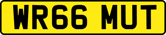 WR66MUT