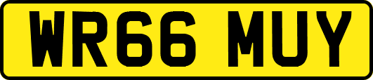 WR66MUY