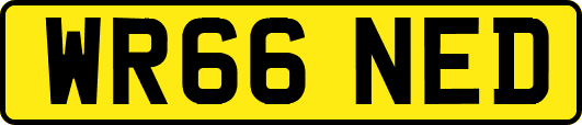 WR66NED