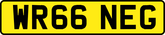 WR66NEG