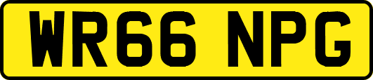 WR66NPG