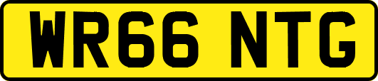 WR66NTG