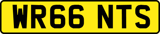 WR66NTS