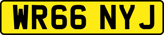 WR66NYJ
