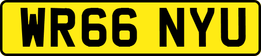 WR66NYU