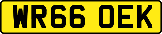WR66OEK