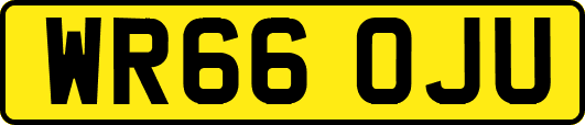 WR66OJU
