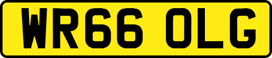 WR66OLG