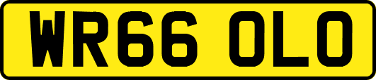 WR66OLO