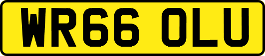 WR66OLU